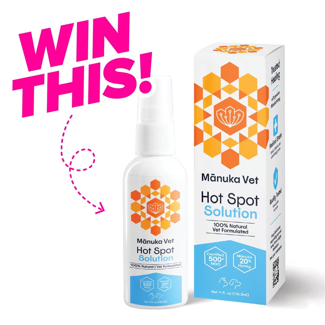 WIN a Bottle of Mānuka Vet Hot Spot Solution